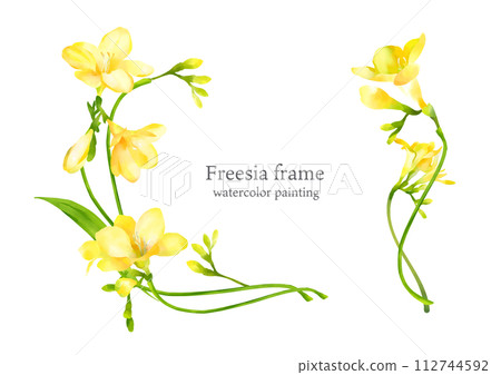 Hand-painted watercolor freesia frame 112744592