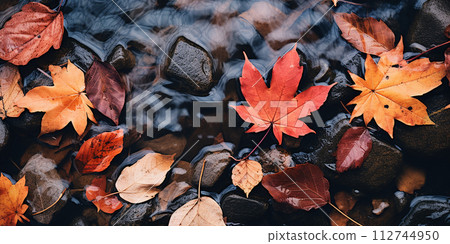 Leaves float and swirl in the water. Beautiful autumn day. Autumn rainy season concept. 112744950