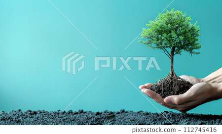 Human Hand Holding a Lush Tree with Exposed Roots on Teal Background - Symbol of Conservation and Growth Human Hand Holding a Lush Tree with Exposed Roots on Teal Background - Symbol of Conservation and Growth 112745416