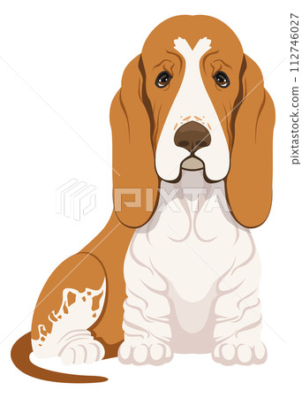 Basset hound cartoon icon. Cute dog character Basset hound cartoon icon. Cute dog character 112746027