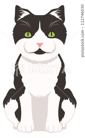 Cat sitting cartoon icon. Funny black white fur pet Cat sitting cartoon icon. Funny black white fur pet 112746030