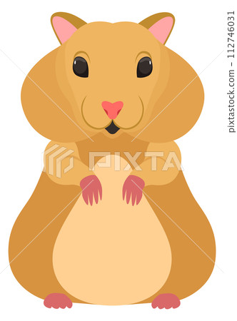 Hamster cartoon icon. Cute pet. Adorable rodent 112746031