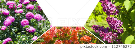 collage of lilac, rhododendron and flowers. There is free space for text. Wide photo. collage of lilac, rhododendron and flowers. There is free space for text. Wide photo. 112746273