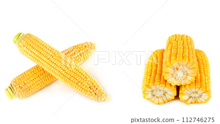 Corn cobs isolated on white . Collage. Free space for text. Wide photo. 112746275