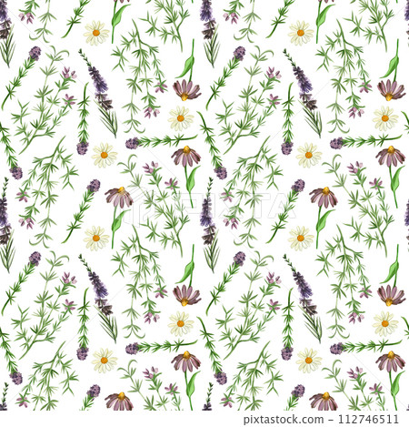 Watercolor pattern. Meadow grasses and flowers of echinacea, heather, oregano hand-drawn in watercolor on a white background. Suitable for printing on fabric and paper, design, wallpaper, scrapbooking 112746511