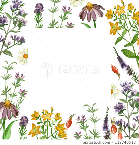 Watercolor illustration. Square frame of meadow herbs and flowers, oregano, rosehip, hypericaceae, daisies hand-drawn in watercolor. Suitable for printing on fabric and paper, design, scrapbooking. 112746518