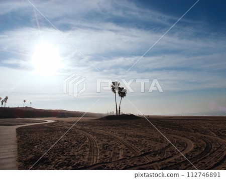 tire tracks, path and palm trees on Dockweiler Beach State Park 112746891