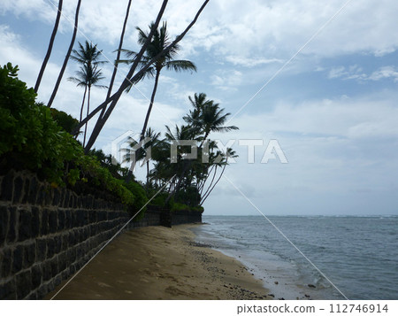 Sand Beach with Lava Rock Wall and Coconut tree overhead Sand Beach with Lava Rock Wall and Coconut tree overhead 112746914