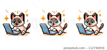 vector pixel art icon with Siamese cat typing on a computer with a surprised face on a white background vector pixel art icon with Siamese cat typing on a computer with a surprised face on a white background 112746958