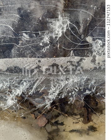 thin transparent ice on a puddle in the park on a spring day, foliage through the ice, dry grass through ice 112747153