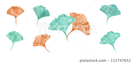 Imprints of autumn leaves in turquoise, golden colors. Gingko leaf. Set isolated on white background. Ginkgo, palm, dry abstract leaves. Watercolor illustration of colorful leaf silhouettes Imprints of autumn leaves in turquoise, golden colors. Gingko leaf. Set isolated on white background. Ginkgo, palm, dry abstract leaves. Watercolor illustration of colorful leaf silhouettes 112747652