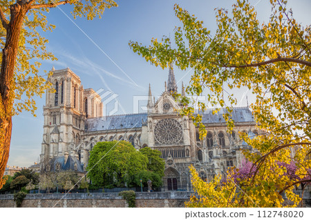 Paris, Notre Dame cathedral with spring trees in France Paris, Notre Dame cathedral with spring trees in France 112748020