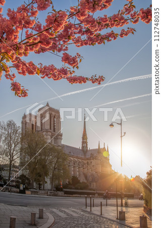 Paris, Notre Dame cathedral with spring trees in France Paris, Notre Dame cathedral with spring trees in France 112748035