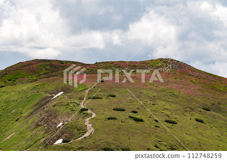 view of Smotrych with a glade of rhododendrons. view of Smotrych with a glade of rhododendrons. 112748259