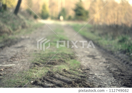 dirt road in the forest dirt road in the forest 112749082