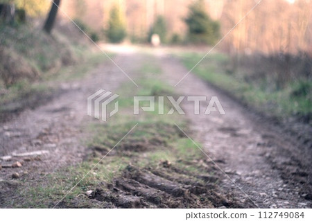 dirt road in the forest dirt road in the forest 112749084