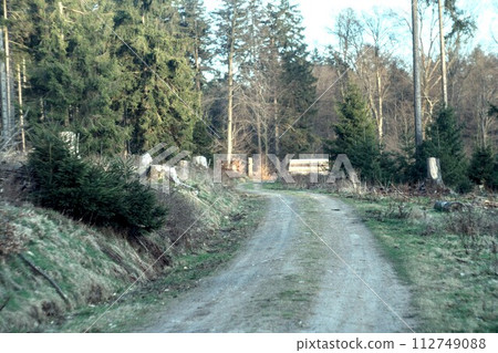 dirt road in the forest dirt road in the forest 112749088