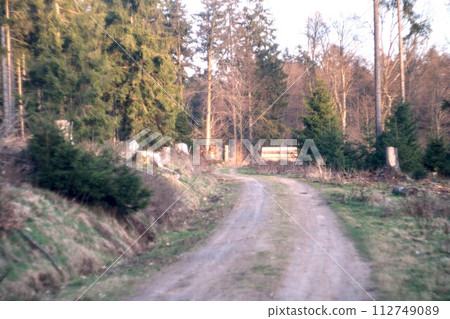 rural road in the forest rural road in the forest 112749089