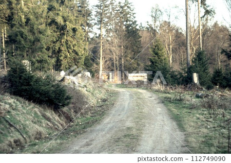 dirt road in the forest dirt road in the forest 112749090