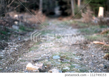 stone path in the puddle stone path in the puddle 112749153