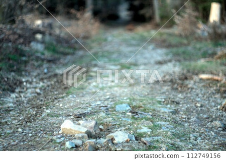 garbage on the road 112749156