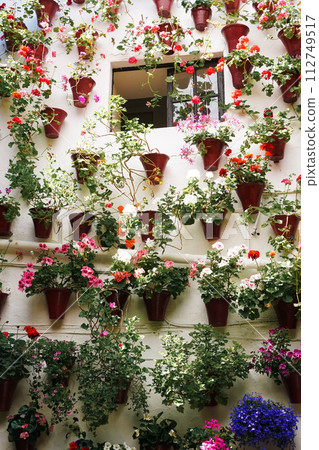 科爾多瓦拉菲斯塔德洛斯天井天井節牆上的盆栽植物 112749517