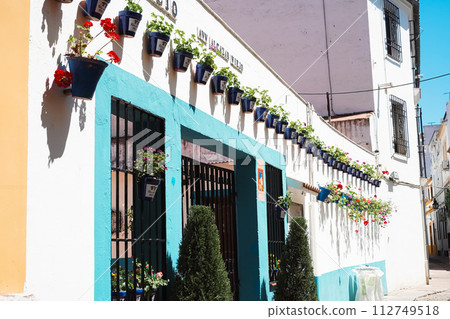 Cordoba Patio Festival: Potted flowers lining the street walls la fiesta de los patios 112749518