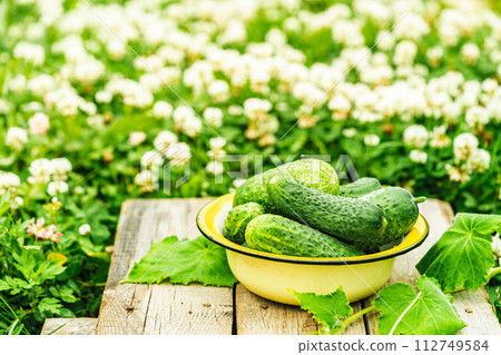 small crispy cucumbers 112749584