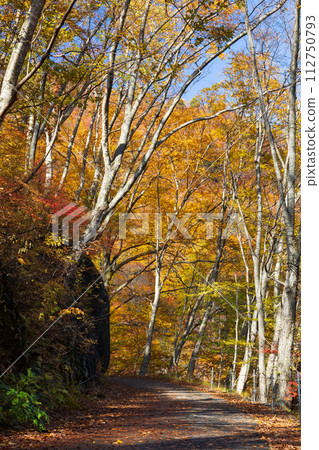 Autumn Mt. Tanigawa: Hiking course at the best time to see the autumn leaves Autumn Mt. Tanigawa: Hiking course at the best time to see the autumn leaves 112750793