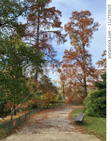 公園裡的一條步道被秋葉染上色彩 公園裡的一條步道被秋葉染上色彩 112750829