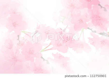 淡水彩風格的櫻花插圖 淡水彩風格的櫻花插圖 112750901