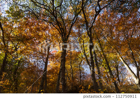 秋天的谷川山：賞紅葉的最佳時期的健行路線 112750911