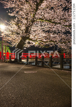 230412 Nakahashi night cherry blossoms z136 230412 Nakahashi night cherry blossoms z136 112751394
