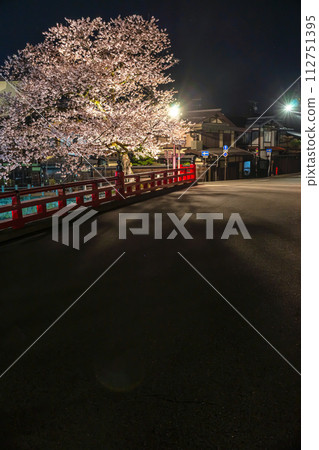 230412 Nakahashi night cherry blossoms z117 230412 Nakahashi night cherry blossoms z117 112751395