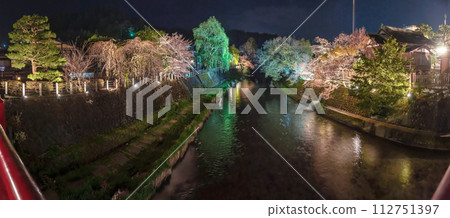 230412 Nakahashi night cherry blossoms z086-097 230412 Nakahashi night cherry blossoms z086-097 112751397