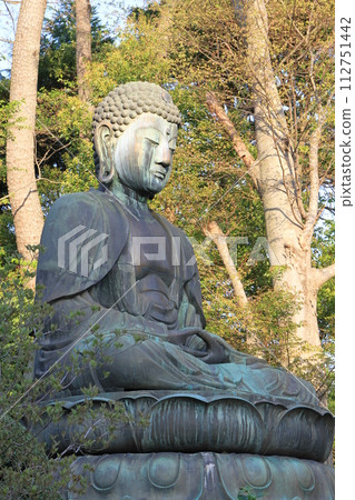 Shakyamuni Buddha (Nakayama Daibutsu) at Lotus Sutra Temple 112751442