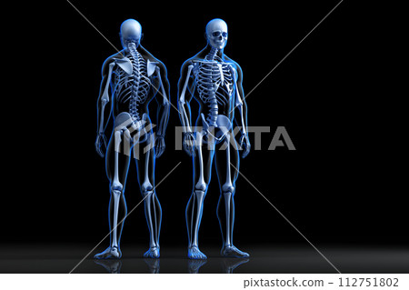 Human Skeleton. Front and rear view. 3D Rendering Human Skeleton. Front and rear view. 3D Rendering 112751802