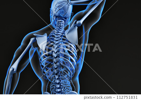 Male upper back and skeletal system. 3D illustration. 3D Rendering 112751831