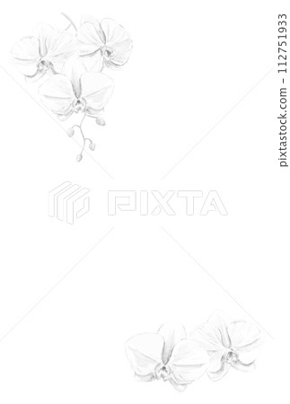 Monochrome Phalaenopsis orchid mourning postcard template 112751933