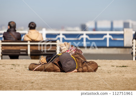 A man and his dog taking a nap on the grass in a park on a warm winter day 112751961
