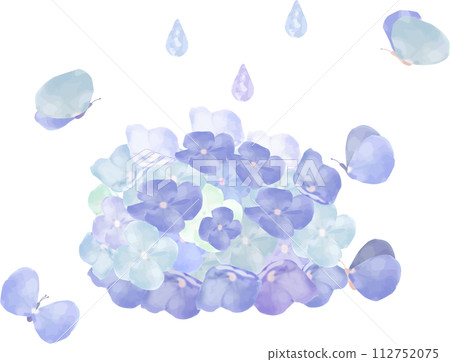 繡球花和蝴蝶畫水彩的插圖 繡球花和蝴蝶畫水彩的插圖 112752075