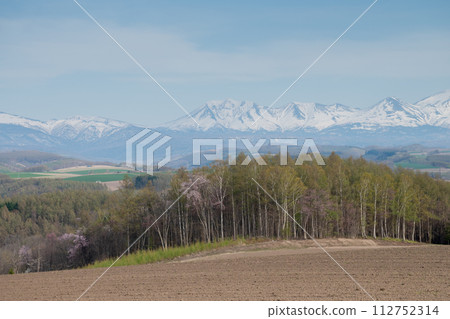 A miscellaneous forest with blooming cherry blossoms and a mountain range covered in lingering snow, the Tokachidake Mountain Range A miscellaneous forest with blooming cherry blossoms and a mountain range covered in lingering snow, the Tokachidake Mountain Range 112752314