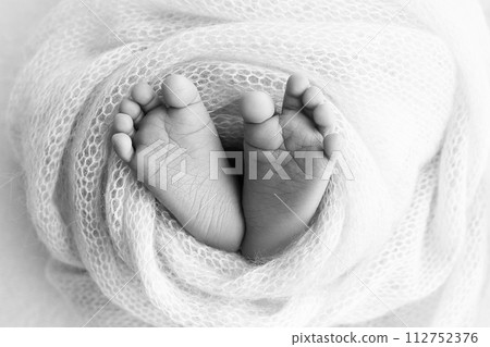 The tiny foot of a newborn baby. Soft feet of a new born in a wool blanket. Close up of toes, heels and feet of a newborn. Black and white Macro photography. 112752376