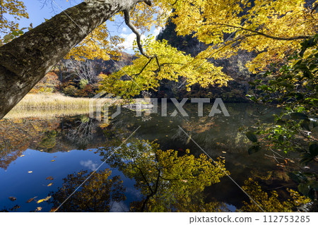 Iouzan Prefectural Natural Park in full bloom with autumn leaves Iouzan Prefectural Natural Park in full bloom with autumn leaves 112753285