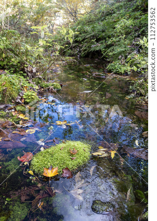 Iouzan Prefectural Natural Park and Sanshokusen are in full bloom with autumn leaves 112753562