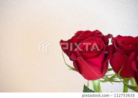 紅玫瑰 紅玫瑰 112753638
