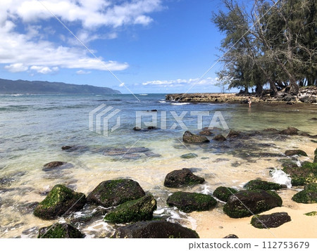 《夏威夷》哈雷瓦海灘風光 112753679