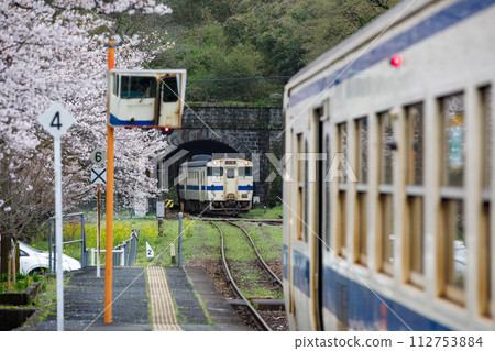 JR Kyushu Kiha 47 series diesel cars passing each other at a station with cherry blossoms in full bloom JR Kyushu Kiha 47 series diesel cars passing each other at a station with cherry blossoms in full bloom 112753884