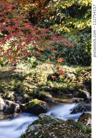 Autumn clear stream scenery, Aramata Gorge, Komatsu City, Ishikawa Prefecture 112754157