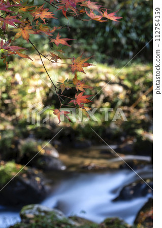 石川縣小松市荒俁峽的秋日清流風景 112754159